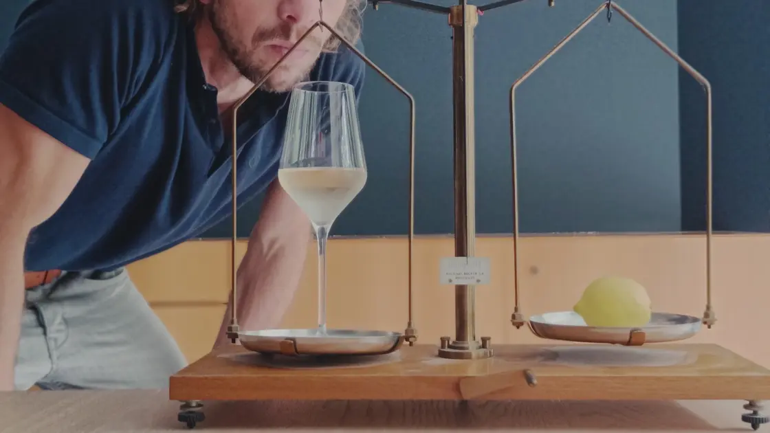 Work-Wine Balance, of het geheim van goede wijn